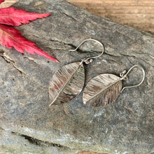 Load image into Gallery viewer, Silver textured leaf earrings