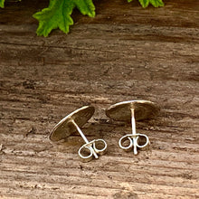 Load image into Gallery viewer, Sterling silver studs