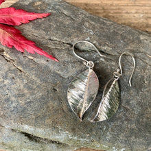 Load image into Gallery viewer, Silver textured leaf earrings