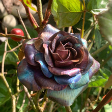 Load image into Gallery viewer, Copper Rose Workshop